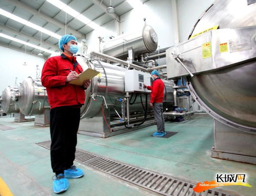 产业转型，红果飘香——河北赞皇大枣产业助力农民增收致富