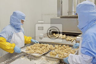 食品加工生产线 现代食品工业的核心引擎