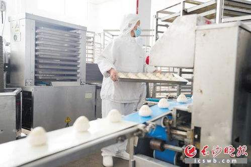 自动化长龙舞动星城 长沙食品企业开足马力忙生产