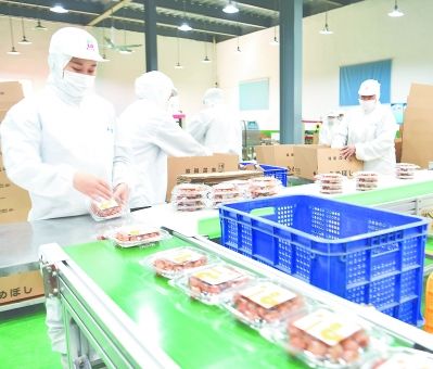 泉州洛江台企全速复工复产 食品生产线马力全开保供应
