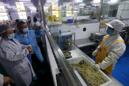 兰山区市场监管局 食品生产安全的守护者